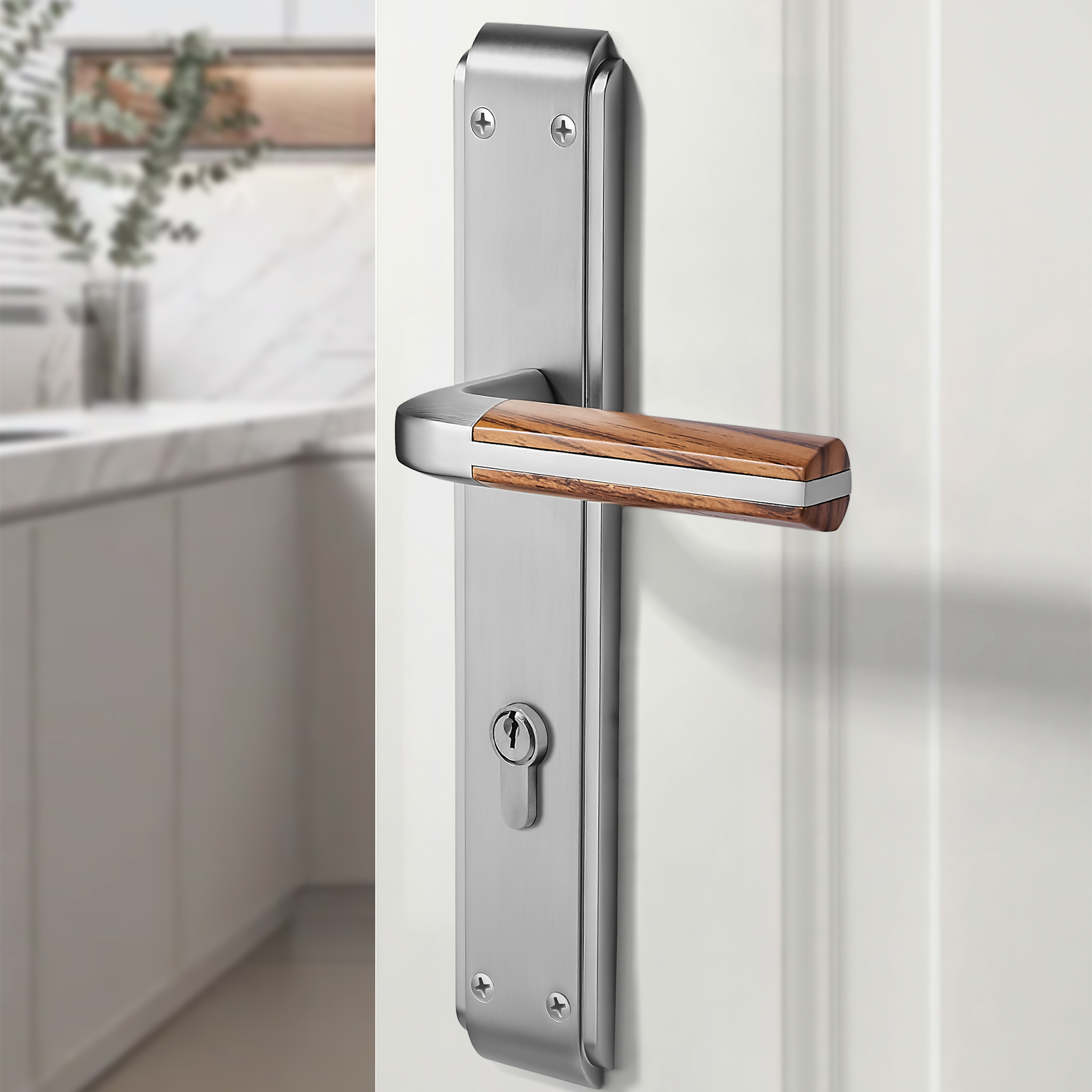 Europe Market Hotel Door Handle