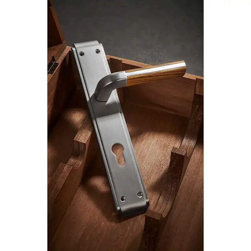 Europe Market Hotel Door Handle
